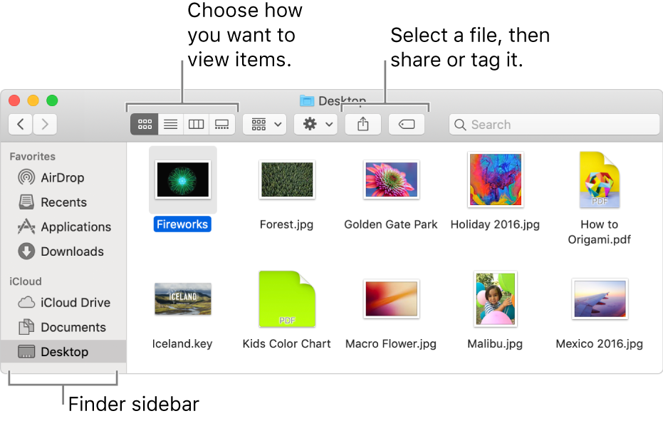 Mac app store download folder location free